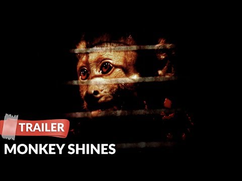 Monkey Shines (1988) Trailer