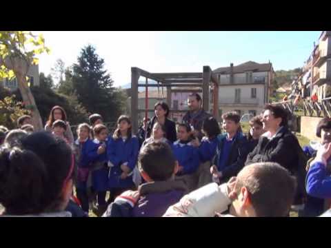 Girifalco 26 novembre 2012  - FESTA DELL'ALBERO .mpg