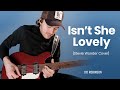 Isn't She Lovely • Joe Robinson • Stevie Wonder Guitar Cover