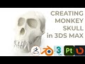 Creating Monkey skull 3d model in 3dsmax