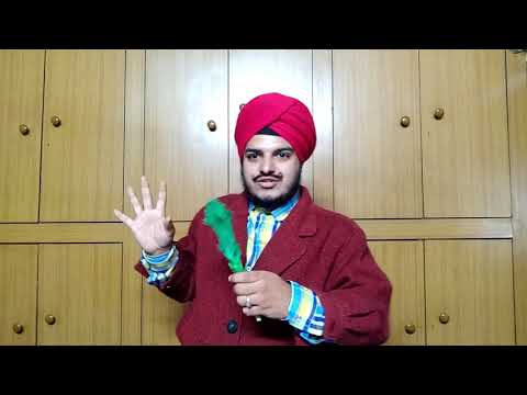 Flower Magic Gurdeep Singh Babbar | Delhi, India (M): 7838519005