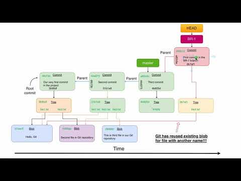 Git branches and Git HEAD 64 Git reuses blobs with the same contents