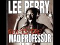 Lee "Scratch" Perry meets The Mad Professor - Recarnation