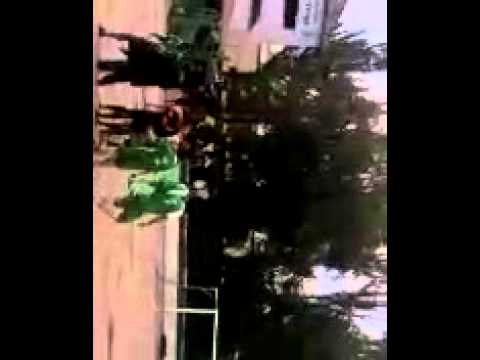 Boetticher partido de ruidosXD