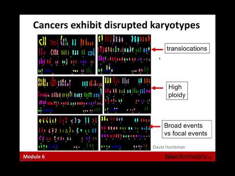 Somatic Copy Number Alterations in Cancer