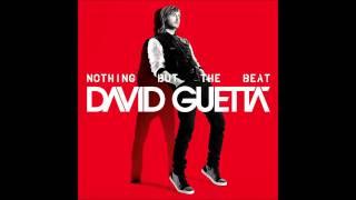 6. David Guetta ft. will.i.am - Nothing Really Matters