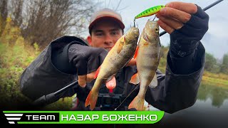 ОКУНЬ КЛЮЄ ДУПЛЕТАМИ. Українська риболовля на спінінг 2023