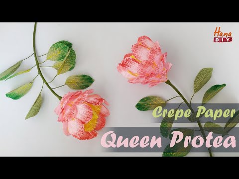 Easy crepe paper Queen protea - HanaDIY