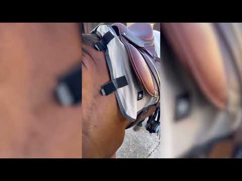 Chemise de travail RIDING WORLD anti-mouches