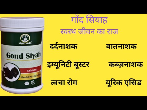 Ayurveda Gond Siyah Powder