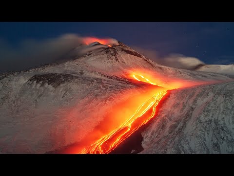 Environmental Factors: The Hidden Forces Shaping Our World