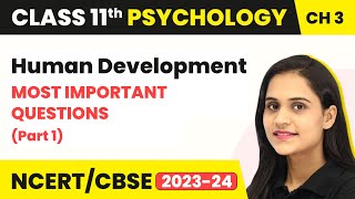 Human Development - Most Important Questions (Part 1) | Class 11 Psychology Chapter 3