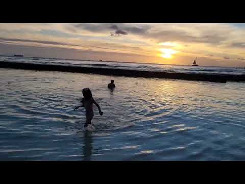 Honolulu Beach #aquarium #sealife4k #ocean #nature #travel #vacation #trip