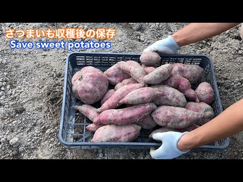 園芸 収穫物の保存方法