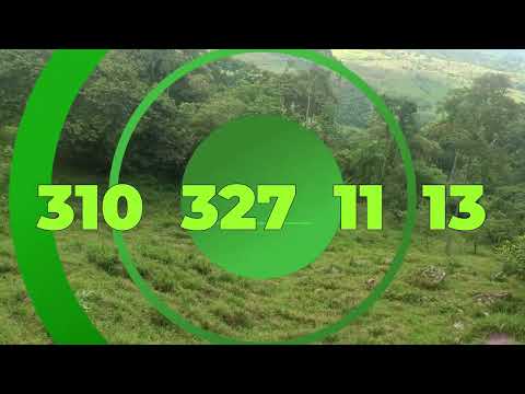 VENTA DE FINCA EN LOS ALPES VILLARRICA TOLIMA