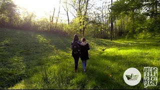 "Elvis Is in the Freezer" by Ratboys (official video)