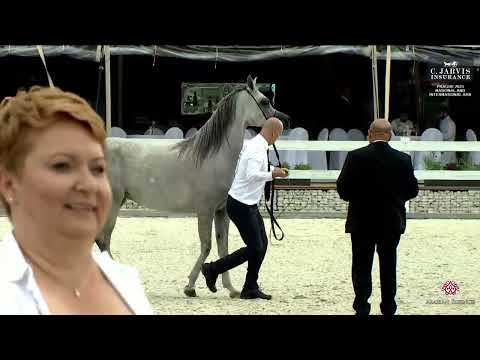 Prague  2023 Intercup   Class 8A