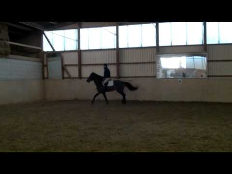 Duno Twirre von Numero Uno Voltaire Nimmerdor ..