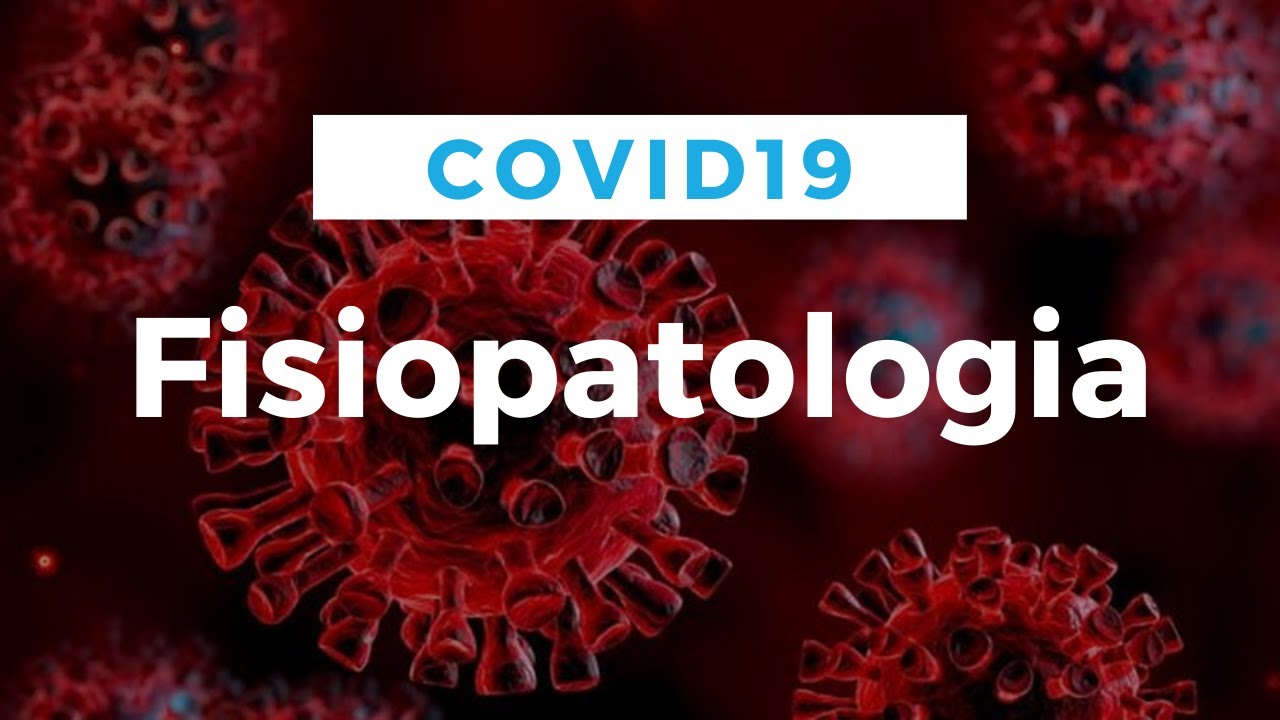 COVID19 - FISIOPATOLOGIA (2020)