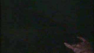 Malcolm McLaren - Something&#39;s Jumping in my Shirt