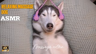 ASMR | What a Pampered & Well-Behaved Husky Really Looks Like... 🐾💆‍♂️