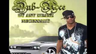 Dub-Ace ft. Rocc Swagga - Check Dis Out