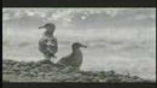 Mellow Mood (feat. G. Love) - Slightly Stoopid