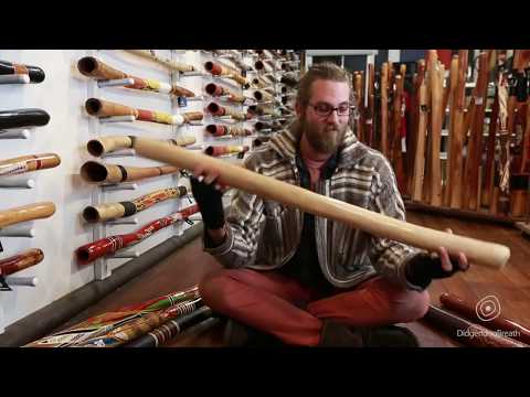 Didgeridoo Buyers Guide - Price - 7 of 10