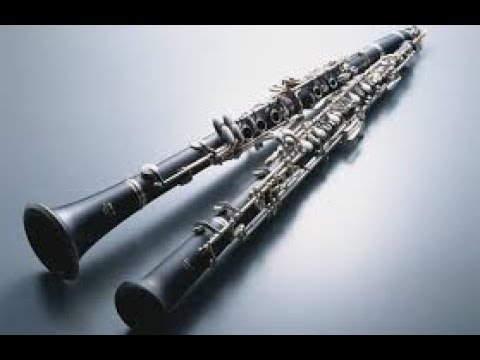 Qui joue? Hautbois ou clarinette? Exercice