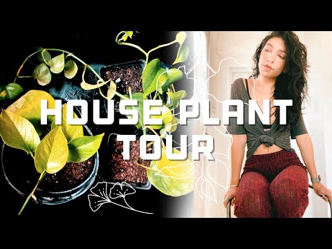 Complete House Plant Tour | Witchy Edition