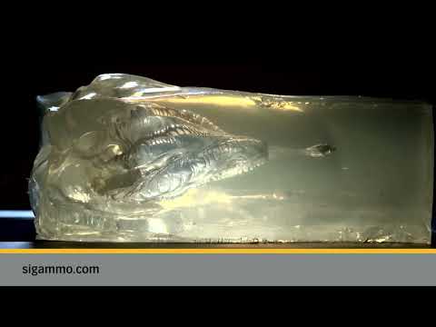 Sig Sauer 223 REM 60 gr Elite Hunting HT #hunting #sigsauer #ammo #winchester #hornady #shtf