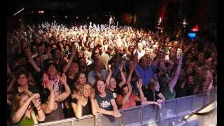 Purple-Polka-Dotted-Laby-Bug-Knee-High-Socks