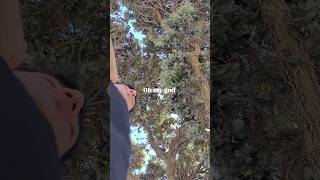 not expecting this 🙏  #cruisetour