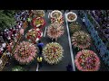 Flower Festival Of Medellin Celebrates A 60 Year Old Tradition