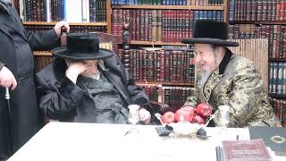 כ"ק האדמו"ר מטעמעשוואר שליט"א בביקור אצל כ"ק האדמו"ר מסקאליע שליט"א