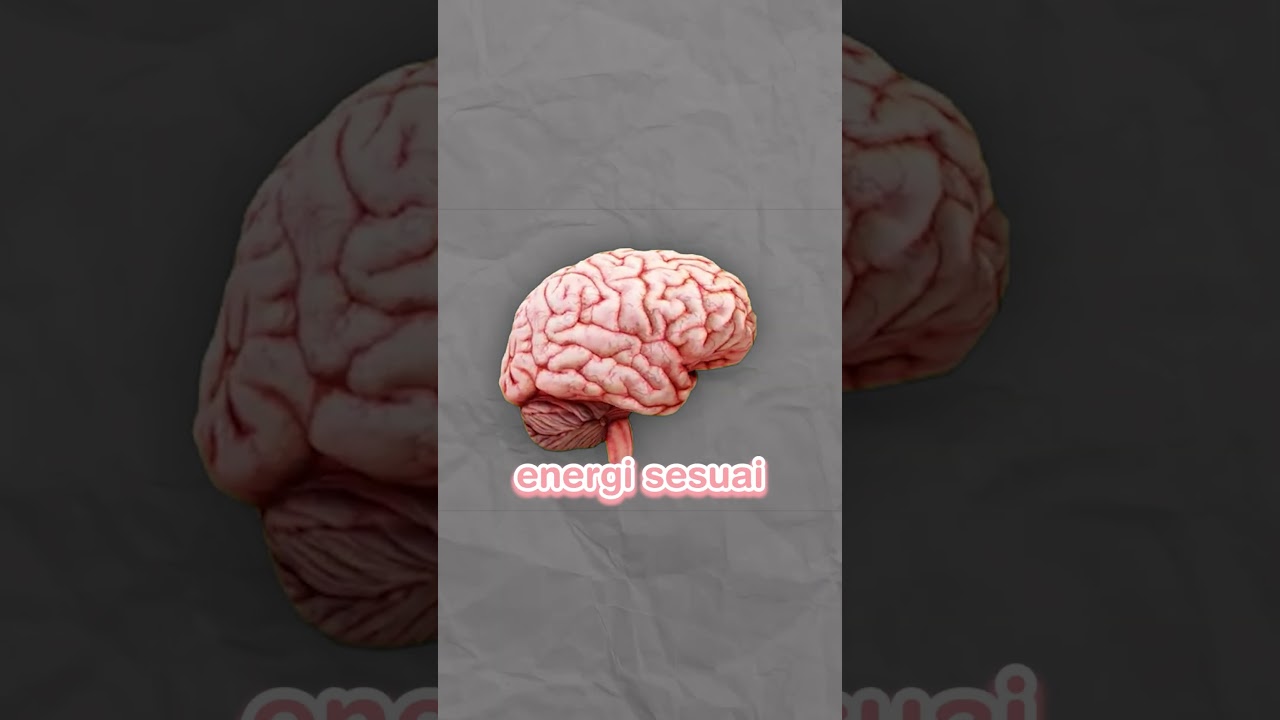 50% Introvert 50% Ekstrovert ituuu Ambivert! #vtuber #vtuberid #shorts #faktaunik #edukasi