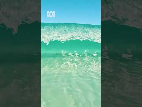 Under the waves – Geraldton, Western Australia Nature Escapes ABC Australia