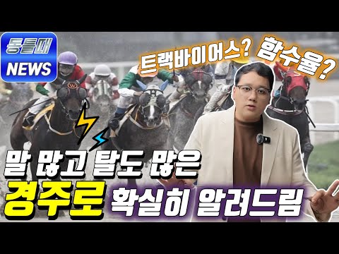 8/15윤택-말많고 탈도많은 경주로-확실이 알려드립니다
