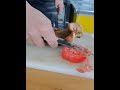 龍泉屠宰手工鍛打剔骨刀分割刀殺魚刀專業刀殺豬賣肉尖刀彎刀