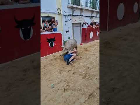 7a Largada Alcochete 2022. Colhida a leste