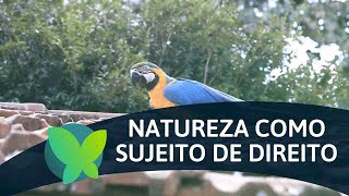 Miniatura do vídeo