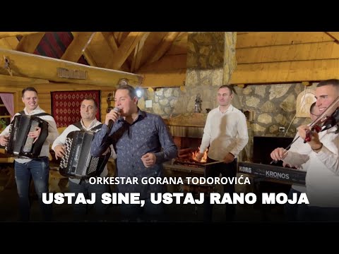 Orkestar Gorana Todorovića - Ustaj sine, ustaj rano moja (UŽIVO 2023)