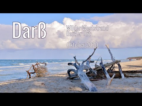 Fischland - Darß - Zingst |  Der wilde Weststrand und Natur pur am Darßer Ort | einfachnurreisen.de