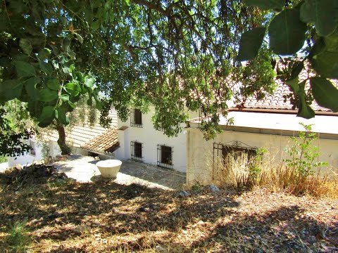 AX1162 - Casa El Molino, Comares
