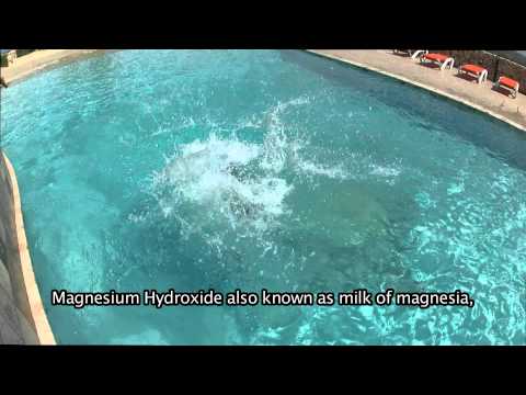 Bonaire BSC Magna pool& Spa  English