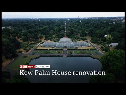 Kew Gardens’ tropical Palm House to shut for five years for net zero makeover (UK) 16/July/2025