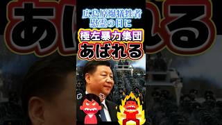 #平和記念式典🔥高市早苗を批判できるなら原爆の日も政治利用するパヨクがはヤバすぎる🧟#政治#反応集#平和記念公園#Shorts