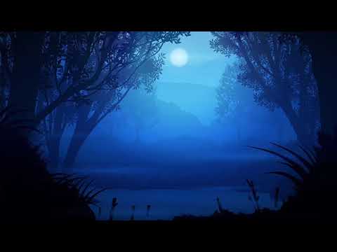 8 Hours Mournful Loon Call & Peaceful Forest At Night Sounds  **No Music**
