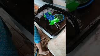 Tuesday, Tuesday (cleanout) #gold #goldmining #goldpanning #goldprospecting