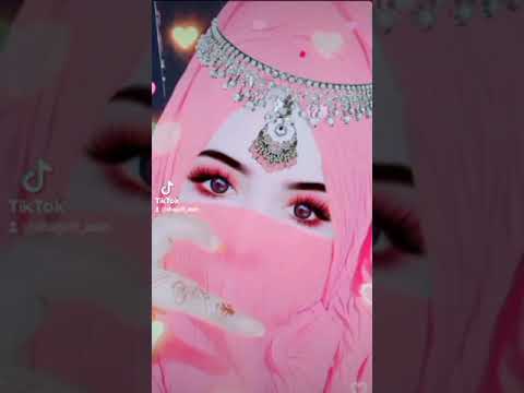 Salam panga e leliya